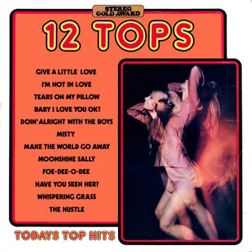 12 Tops – Today’s Top Hits Vol. 29