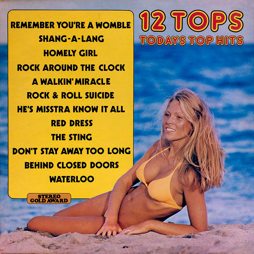 12 Tops Today's Top Hits Vol. 20