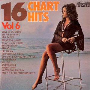 16 Chart Hits Vol. 06