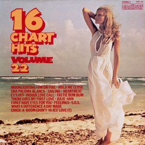 16 Chart Hits Vol. 22