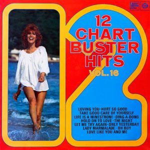 12 Chart Buster Hits Vol. 16 - Various Artists